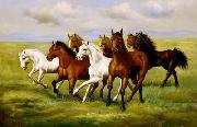 unknow artist Horses 025 oil on canvas